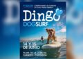 DingoDog Surf acoge el europeo de surf canino en Cantabria