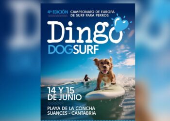 DingoDog Surf acoge el europeo de surf canino en Cantabria