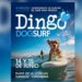 DingoDog Surf acoge el europeo de surf canino en Cantabria