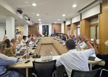 El Pleno admite a trámite la concesión administrativa de El Malecón