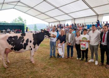 Concurso de ganado vacuno frisón en Renedo