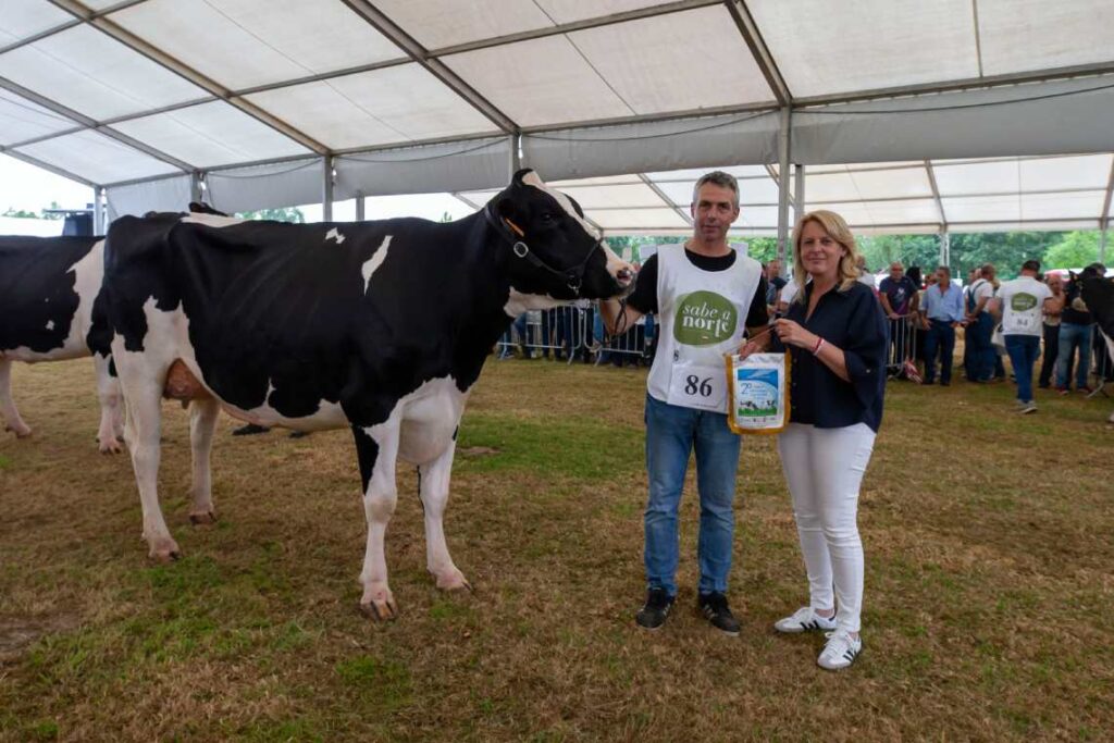 Feria Ganado Vacuno frisón en Renedo