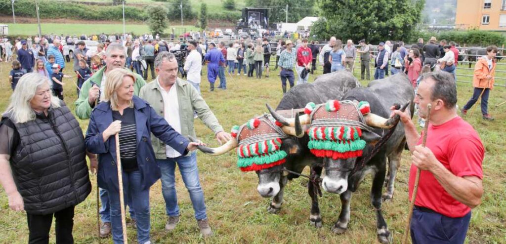 Feria Ganadera de Liérganes.