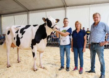XXXVII Concurso Exposición de Ganado Vacuno Frisón San Bernabé
