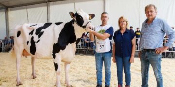 XXXVII Concurso Exposición de Ganado Vacuno Frisón San Bernabé