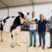 XXXVII Concurso Exposición de Ganado Vacuno Frisón San Bernabé