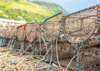 Mariscos Trueba apuesta por la sostenibilidad