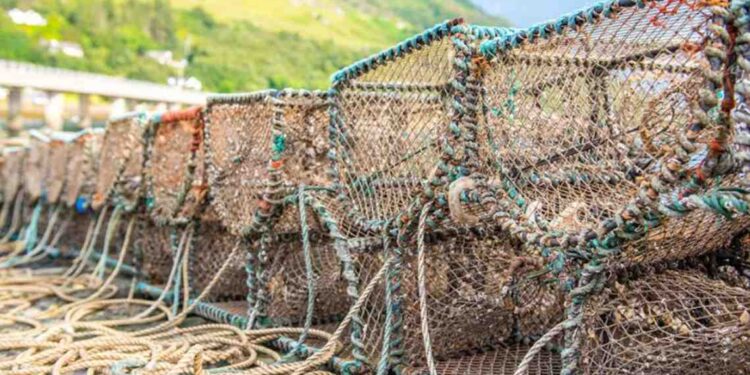 Mariscos Trueba apuesta por la sostenibilidad