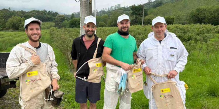 Programa Cultiva