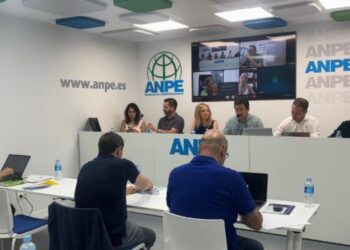 ANPE denuncia situación del profesorado