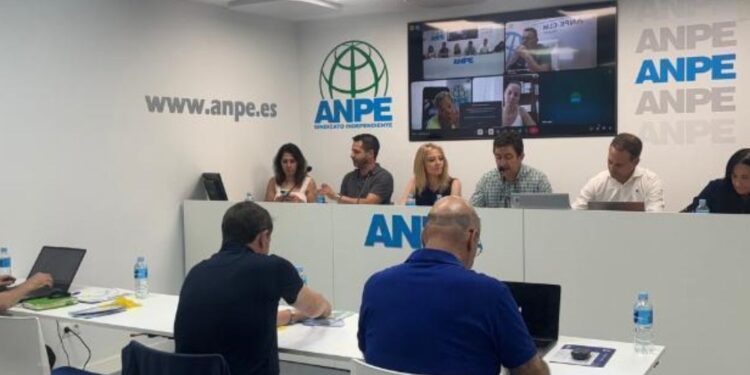 ANPE denuncia situación del profesorado