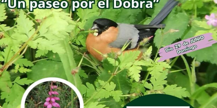 Torrelavega Conexión Natural