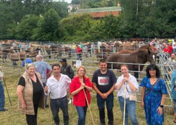 Feria ganadera y agroalimentaria en Ampuero