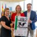 exposición de ganado vacuno frisón