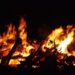 riesgo de incendio forestal en junio