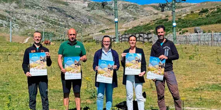 Alto Campoo