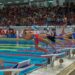 Campeonato de España de natación alevín