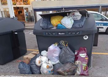 Contenedores de Basura