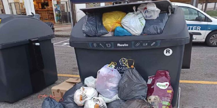Contenedores de Basura