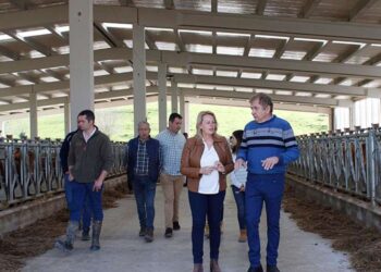 Ayudas energías renovables rurales