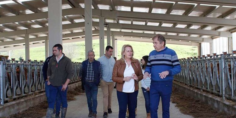 Ayudas energías renovables rurales