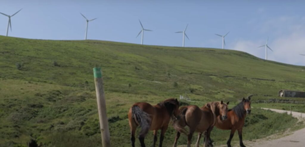 Soba, ejemplo de integración eólica rural