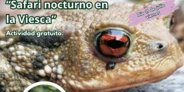 Safari nocturno