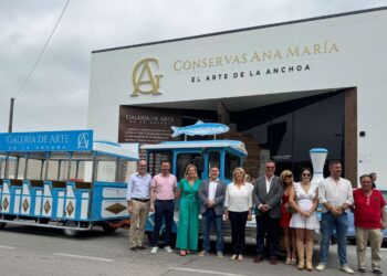 El Santoñuco, el tren turístico