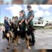 Guardia Civil en refuerzo estival