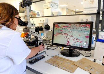 IDIVAL destina más de 460.000€ a sus grupos de investigación