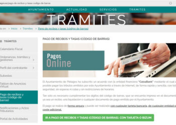 Bizum para el pago online de tributos