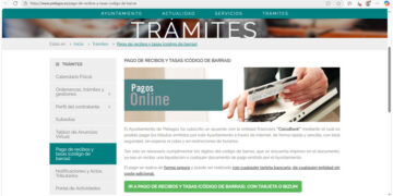 Bizum para el pago online de tributos