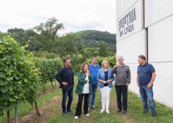 Agrupación de Productores de Vino