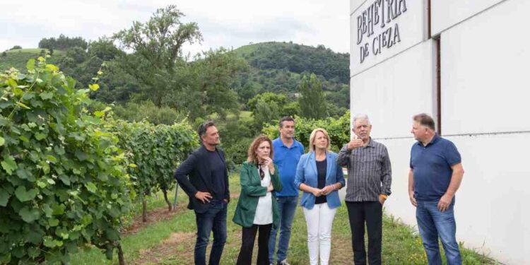 Agrupación de Productores de Vino