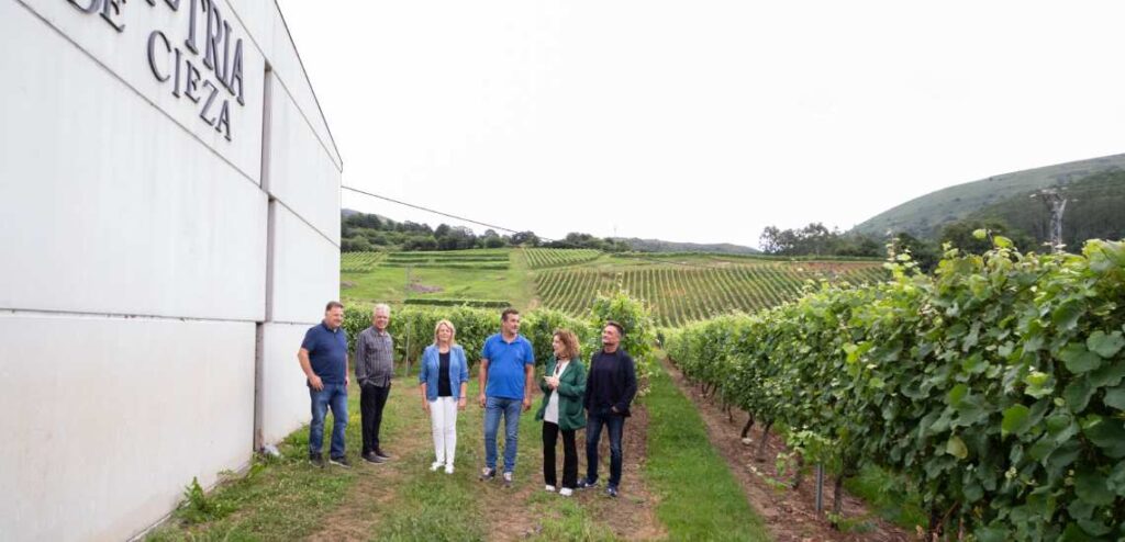 Agrupación de Productores de Vino