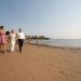 Invasión del alga asiática en las playas de Noja