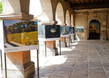 Exposición Arte en la naturaleza