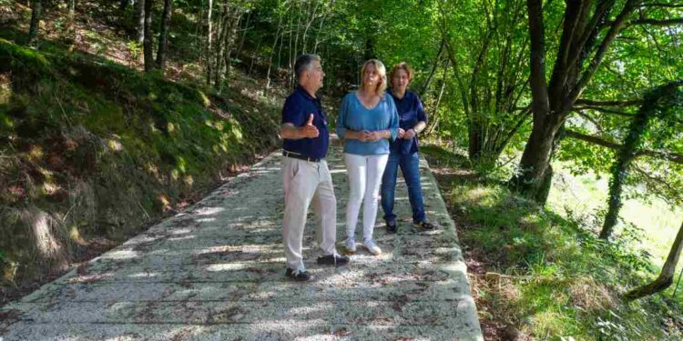 Caminos rurales