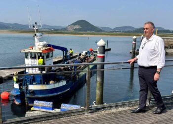 Consejero en el puerto de Santoña.