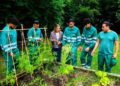 Formación en viveros y jardinería