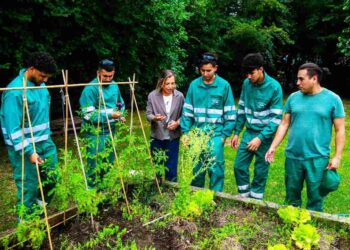 Formación en viveros y jardinería