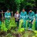 Formación en viveros y jardinería
