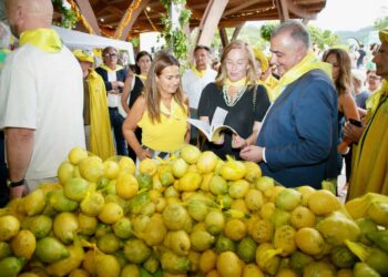 Limones Solidarios Novales