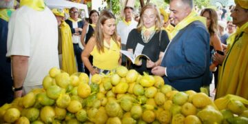 Limones Solidarios Novales