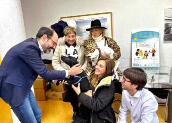 Proyectos bienestar animal