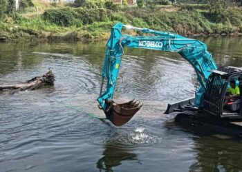 retirando troncos en el Muelle de Oruña.