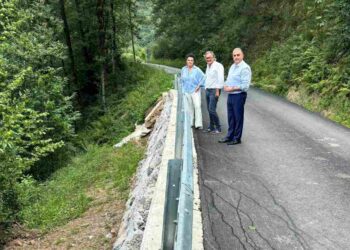 Carretera Vega de Pas