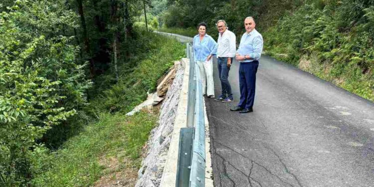 Carretera Vega de Pas