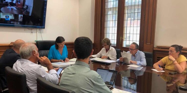 Obras de reparación de las cubiertas de La Albericia y del Palacio de Deportes
