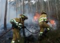 plan contra incendios forestales